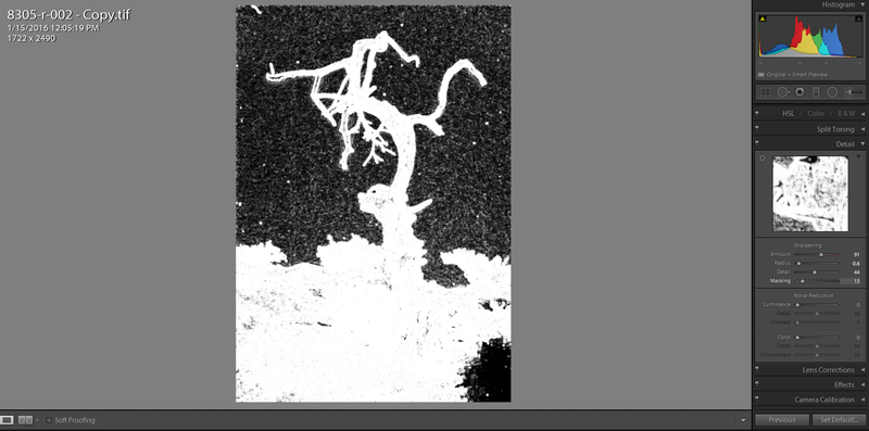 Illustration for article titled Primer: Scanning Film
